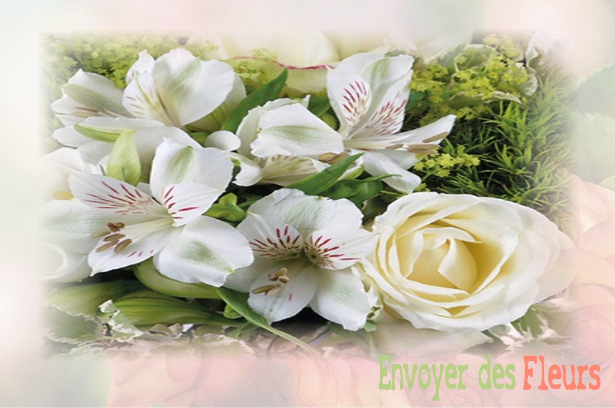 envoyer des fleurs à à SAINT-BONNET-LE-FROID